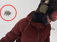 おい後ろ！ゲレンデで熊に追われたスノーボーダーの映像に(((ﾟДﾟ)))ブルブルブル。
