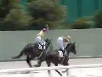 競馬動画。ギリギリで負けちゃった馬の頭をぶん殴る騎手の映像が話題に。