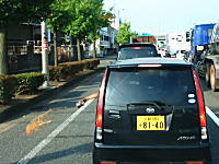 京阪国道で撮影されたマナーの悪すぎる車。道路に生ごみブシャー捨てする軽自動車(@_@;)