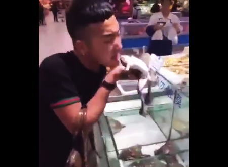 生きたカエルを生で食べちゃう中国人のビデオ。潰し方が結構エグい。