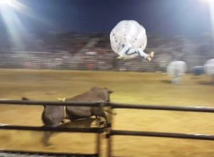 この遊びどうなんｗｗｗバルーンに入って牛にぶっ飛ばされてみた。飛びすぎｗｗｗ