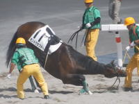 札幌競馬動画。1番人気のモンドクラフトが落馬して安楽死。騎手は全治未定の重傷。