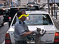 どうなのこれは。神戸で怪我したネコを反対側の歩道に投げ捨てる警備員が撮影され話題に。