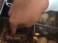 愛知のスケボー店の社長がサークルKのおでんを指で触ってふざける動画が炎上中