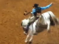 ロデオで馬が頭をぶつけて死亡するという珍しい事故の映像。