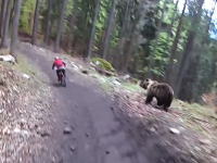 怖すぎワロタ。巨大な野生のクマに追いかけられる自転車の映像が話題に。