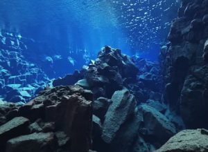 嘘みたいな透明感。アイスランドの氷河湖に潜るビデオがすてき。