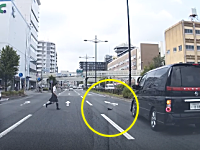 京都の国道1号線（堀川通）で子猫を救った女子高生のビデオが大人気に。GJ大賞ノミネート作品。