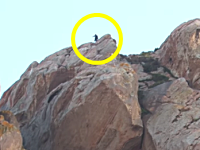 何の挑戦だよ？絶壁を駆け下りようとした男が200フィート滑落してしまう衝撃映像。