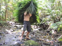 原始生活の人が動画のために熱帯雨林を購入。新シリーズがはじまる。