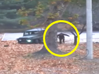 北朝鮮兵士が脱北した瞬間の映像が公開される。車が脱輪して走って脱北していた。