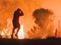 カリフォルニアの山火事から野ウサギを助け出す男のビデオが話題に。