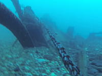 潜っていたダイバーの真上を貨物船が通過。水中からの映像がこええ(°_°)