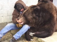 こんな巨大なクマが人に懐くとかあるんだ。恐ろしい大きさのクマとおじさん。