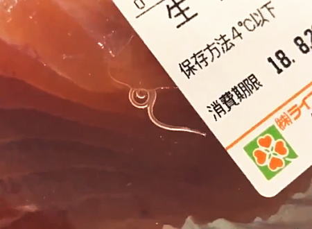スーパーの生秋鮭に寄生虫が！アニサキスがいた！と話題になっている動画。