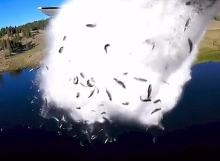 アメリカの魚の放流方法が豪快すぎるｗｗｗ飛行機から魚を空中投下する映像。