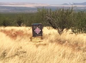 アリゾナ州で大規模な森林火災を発生させた「原因」の映像がこちら。馬鹿すぎる。