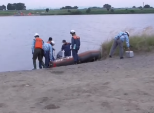 実録。県境の川に浮かぶ土左衛門を発見して110番通報をした男性の記録。