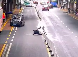 二人目は悪質。連結フェンスにはめられたおっさん中国人とDQN中国人の映像。