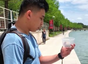 カメを川に逃がしてやった日の出来事（動画）これは事故？それともわざと？