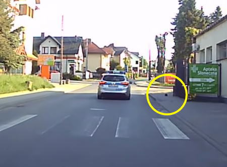 やさしい世界。道路を渡ろうとしているハリネズミを警護したパトカーの警官ＧＪ動画。
