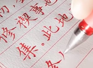 この文字、ボールペンで書いてるんだぜ？信じられるか？美しい文字は気持ちがいい動画。
