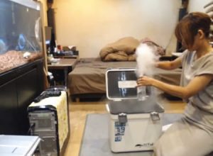 もはやテロだろ。部屋の中でペットボトル爆弾を爆発させた女の動画がｗｗｗ