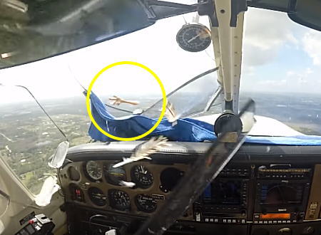 着陸降下中のバードストライクによりフロントガラスと眼鏡を失った小型機のコクピット映像。