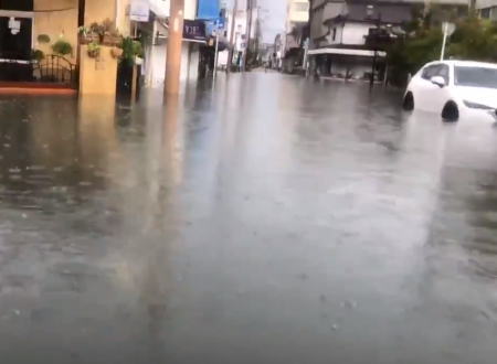 佐賀の大雨で池から開放された鯉が佐賀市の街を自由に泳ぐ動画が人気に。