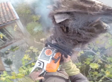キコリパニック。高所でキコリ中にその木が炎上してしまう恐ろしいビデオ。