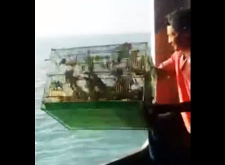 当局の捜査を逃れる為に籠に入ったままの生きた動物を海に投げ捨てる密輸業者。