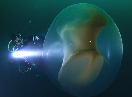 沈没船を調査中のダイバーが海中で遭遇した巨大な卵嚢がもうほとんどスピーシーズ。