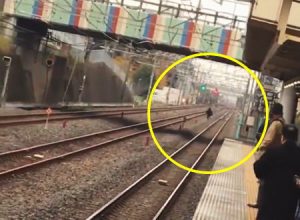 JR東浦和駅で痴漢容疑の男が線路に降りて逃走。その動画像がいくつも撮られる。