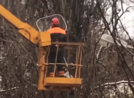 高い木に登ってしまったネコちゃんの救出に大型クレーンまで登場する騒ぎに。ウクライナ。