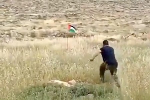 【罠】パレスチナ国旗を蹴り飛ばそうとしたイスラエル人が悲惨な事に。
