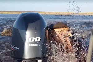 【動画】観光客を乗せたボート、カバに噛みつかれてしまう。