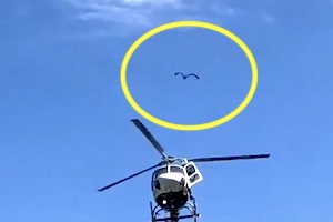 【動画】ヘリコプターの着陸に抗議しようとした鳥さん、木っ端微塵に。