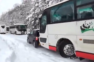 【衝撃】バスに突っ込まれる軽自動車。旭川市で発生した多重追突事故の動画があった。