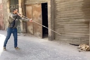 【動画】吹き矢を使って野良犬に狂犬病ワクチンを打つエジプト。