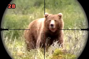 【動画】 巨大なクマを狩るハンターのスコープ視点。