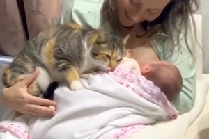 【ネコ】授乳中の飼い主と赤ちゃんにべったりなニャンコ(*´д`*) 【ネコ】授乳中の飼い主と赤ちゃんにべったりなニャンコ(*´д`*)