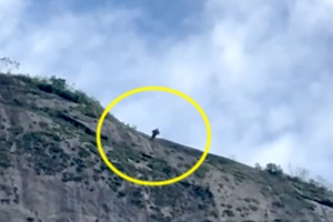 【動画】ウイングスーツジャンパーが崖に衝突してしまう事故。