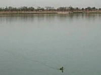 イラクで兵隊さんが撮影した大きな鯉に食べられてしまうアヒルさんの映像。