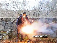 外人たちの火遊び動画。バーベキューグリルに花火を投入して度胸試し爆発