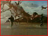 浜に打上げられたクジラが体内に貯まったガスにより大爆発を起こす瞬間