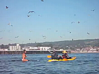 海で女性を撮影していたら奇跡の映像が撮れた動画。突然クジラがどーん！