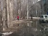 なんの前触れもなく突然倒れてきた木に襲われてしまう女性のビデオ。ギリギリ