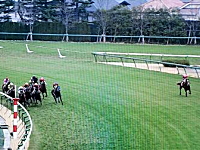 競馬オルフェーヴルの失速にファン大パニック。先頭⇒10位⇒再ダッシュ2位 