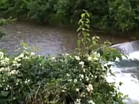 鉄砲水の恐怖。静かだった川を急激な増水が襲う信じられないビデオ。恐ろし