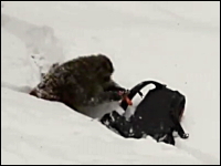 雪崩用エアバッグに焦りまくるお猿さんのビデオ。どんなイタズラだよｗｗｗ